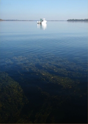 Corrib Shallows